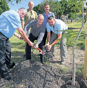 Tree planting